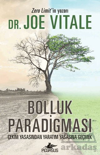 Bolluk Paradigması - Pegasus Yayınları