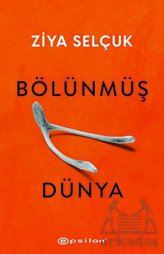 Bölünmüş Dünya - Epsilon Yayınevi