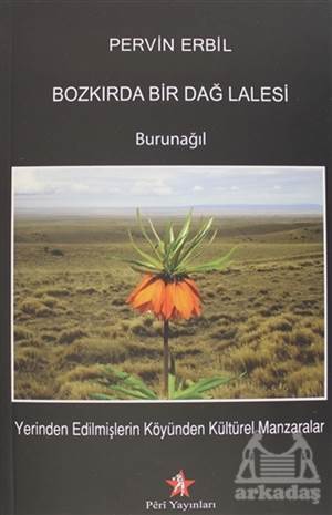 Bozkırda Bir Dağ Lalesi - Peri Yayınları