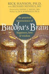 Buddha's Brain: The Practical Neuroscience Of Happiness, Love, And Wisdom - New Harbinger