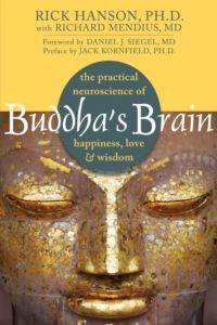 Buddha's Brain: The Practical Neuroscience Of Happiness, Love, And Wisdom - 1