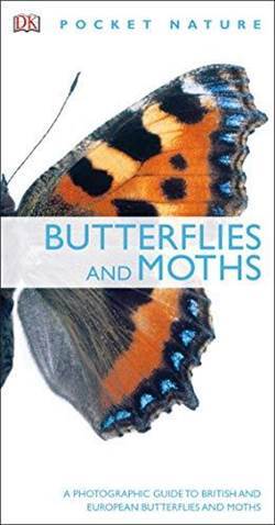 Butterflies And Moths (Pocket Nature) - Dorling Kindersley UK