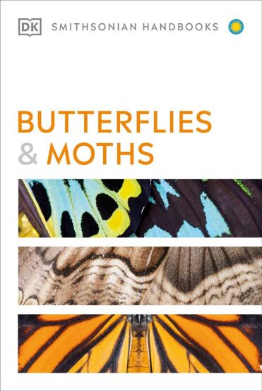 Butterflies and Moths - 2