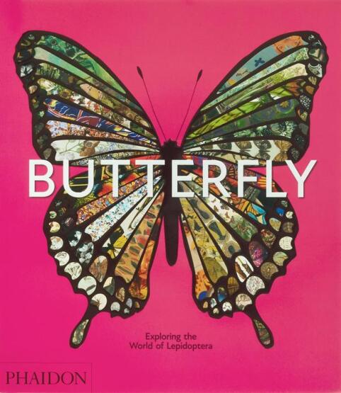 Butterfly Exploring the World of Lepidoptera - Phaidon Press