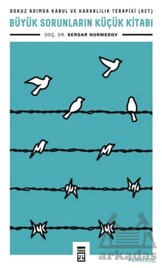 Büyük Sorunların Küçük Kitabı - Timaş Yayınları