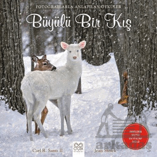 Büyülü Bir Kış - 1001 Çiçek Kitaplar