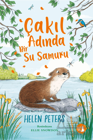 Çakıl Adında Bir Susamuru - Büyülü Fener Yayınları