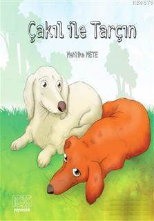 Çakıl Ile Tarçın - Kök Yayınevi