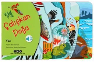 Çalışkan Doğa - Yaz - Yapı Kredi Yayınları