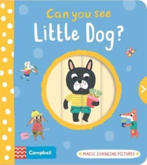 Can You See Little Dog? Magic Changing Pictures - Can You See? - Campbell Books