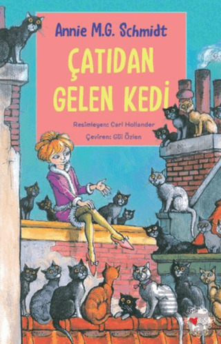 Çatıdan Gelen Kedi - Can Çocuk Yayınları
