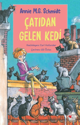 Çatıdan Gelen Kedi - 1