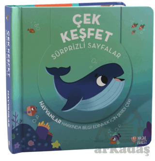 Çek Keşfet Hayvanlar - 1