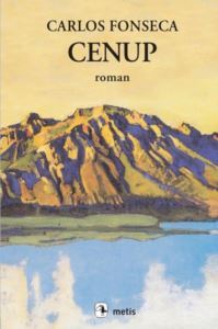 Cenup - Metin Yayınları