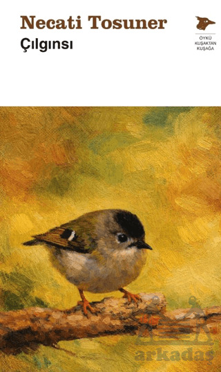 Çılgınsı - Alakarga Sanat Yayınları