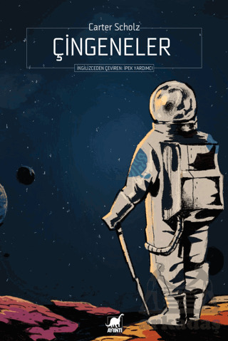 Çingeneler - Ayrıntı Yayınları