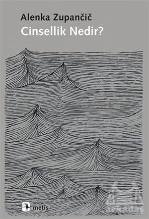 Cinsellik Nedir? - Metis Yayınları