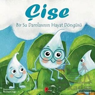 Çise: Bir Su Damlasının Hayat Döngüsü - Peta Kitap