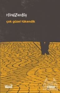 Çok Güzel Tükendik - Kanes Yayınları