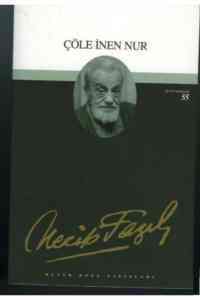 Çöle İnen Nur (Kod:39) - Büyük Doğu Yayınları