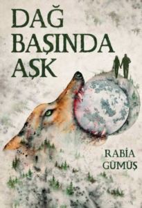 Dağ Başında Aşk 1 - Dokuz Yayınları