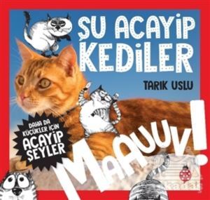 Daha da Küçükler İçin Şu Acayip Kediler - Daha da Küçükler İçin Acayip Şeyler 1 - 1