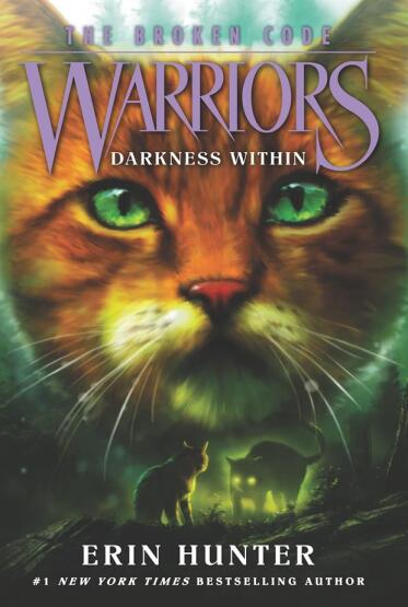 Darkness Within - Warriors. The Broken Code - Harper Collins USA