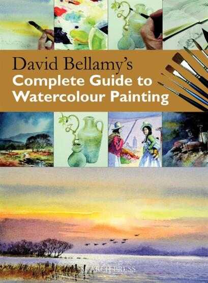 David Bellamy's Complete Guide to Watercolour Painting - 1