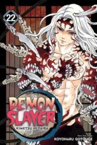 Demon Slayer 22 - VIZ Media
