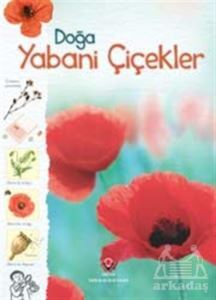 Doğa - Yabani Çiçekler - 1