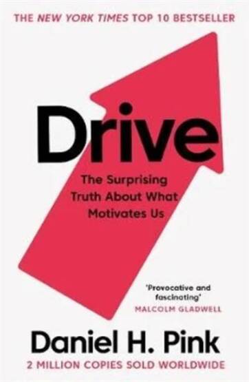Drive: The Surprising Truth About What Motivates Us - Canongate Books