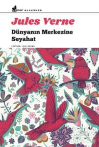 Dünyanın Merkezine Seyahat - Çınar Yayınları
