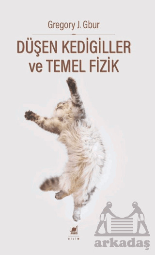 Düşen Kedigiller Ve Temel Fizik - Ayrıntı Yayınları