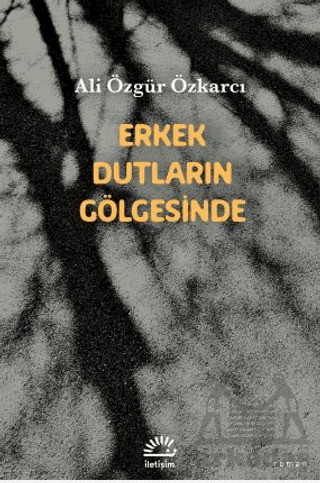 Erkek Dutların Gölgesinde - İletişim Yayınevi