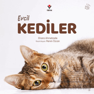 Evcil Kediler - Tübitak Yayınları