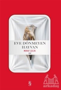 Eve Dönmeyen Hayvan - 1