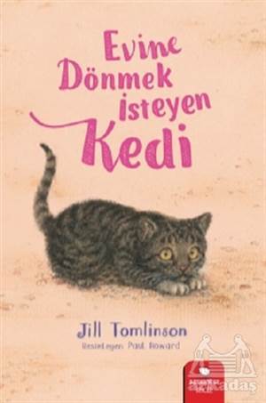 Evine Dönmek İsteyen Kedi - 1