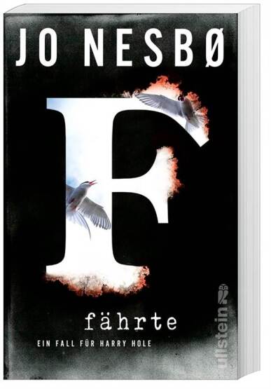 Fahrte (Harry Hole Crimi 4) - 1