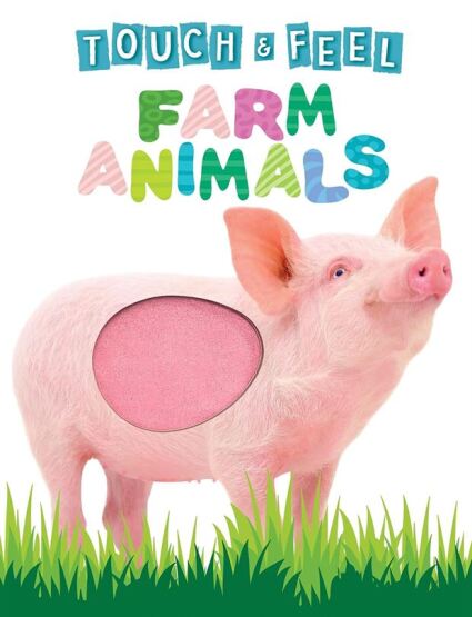 Farm Animals (Touch And Feel Board Book) - Little Hippo Books