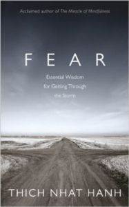 Fear: Essential Wisdom for Getting Through the Storm - 1