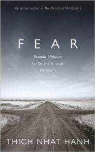 Fear: Essential Wisdom for Getting Through the Storm - Rider Books