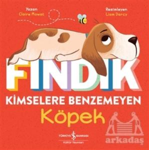 Fındık Kimselere Benzemeyen Köpek - 1