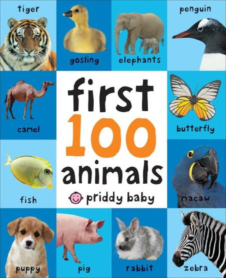 First 100 Animals Board Book - St Martin'S Press