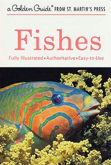 Fishes A Guide to Fresh- And Salt-Water Species - Golden Guide from St. Martin's Press - 1