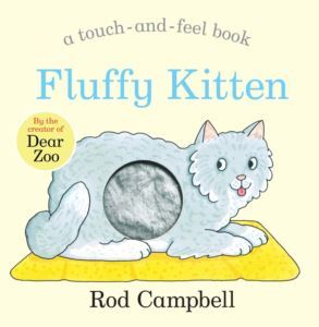 Fluffy Kitten (Touch-And-Feel Book) - 1