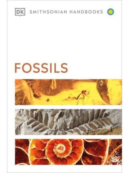 Fossils - DK USA