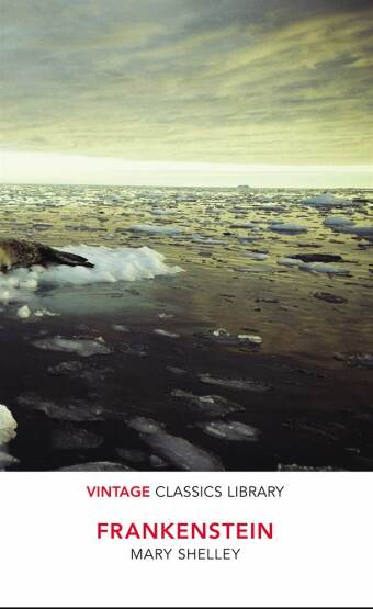 Frankenstein - Vintage Books UK