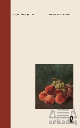 Geçip Giden Şeyler - İz Yayıncılık