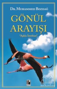 Gönül Arayışı - Pozitif Yayınları