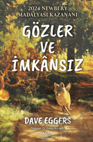 Gözler Ve İmkansız - İlksatır Yayınevi